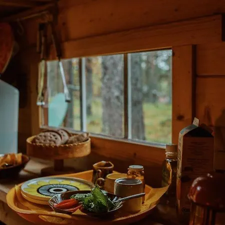 Ainutlaatuinen Metsaemajoitus